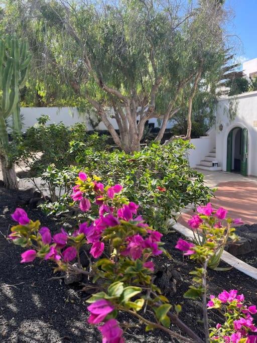 Casa Chili Lejlighed Costa Teguise Eksteriør billede